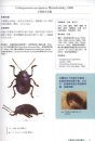 The Chrysomelidae of Taiwan, Volume 1 [Chinese]