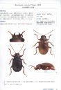 The Chrysomelidae of Taiwan, Volume 2 [Chinese]