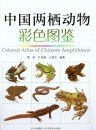 Colored Atlas of Chinese Amphibians [Chinese]
