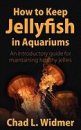 How to Keep Jellyfish in Aquariums