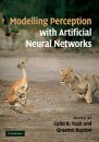 Modelling Perception with Artificial Neural Networks