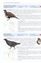 The American Bird Conservancy Guide to Bird Conservation