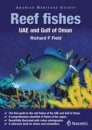 Reef Fishes UAE and Gulf of Oman