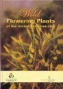 Wild Flowering Plants of the United Arab Emirates