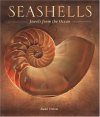 Seashells: Jewels from the Ocean
