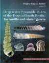 Tropical Deep-Sea Benthos, Volume 26
