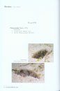 Philippine Marine Mollusks, Volume 3