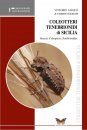 Coleotteri Tenebrionidi de Sicilia [Darkling Beetles of Sicily]