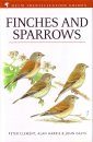 Finches and Sparrows