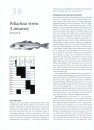 Ecology of Estuarine Fishes