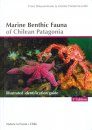 Marine Benthic Fauna of Chilean Patagonia