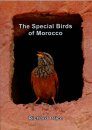 The Special Birds of Morocco