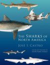 The Sharks of North America