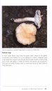 A Guidebook to the Macrofungi of Tasik Bera