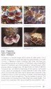 A Guidebook to the Macrofungi of Tasik Bera