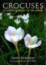 Crocuses: A Complete Guide to the Genus