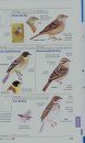 The Complete Field Guide to Ireland's Birds