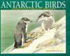Antarctic Birds: Ecological and Behavioral Approaches