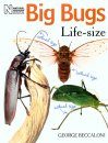 Big Bugs Life-size