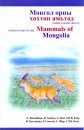 Field Guide to the Mammals of Mongolia