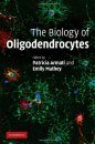 The Biology of Oligodendrocytes