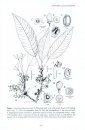 Flora of Peninsular Malaysia, Series II: Seed Plants, Volume 1