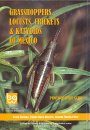 Grasshoppers, Locusts, Crickets and Katydids of Mexico / Chapulines, Langostas, Grillos y Esperanzas de México