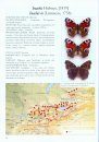 The Butterflies (Lepidoptera, Papilionoidea) of Dzhungar, Tien Shan, Alai and Eastern Pamirs, Volume 2