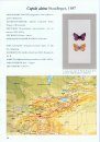 The Butterflies (Lepidoptera, Papilionoidea) of Dzhungar, Tien Shan, Alai and Eastern Pamirs, Volume 2