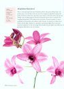 The Amazing World of Orchids