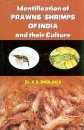 Identification of Prawns / Shrimps of India and their Culture