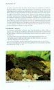 Atlas des Poissons et des Crustacés d'Eau Douce de la Guadeloupe [Freshwater Fish and Crustacean Atlas of Guadeloupe]