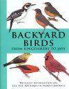 Backyard Birds from Kingfishers to Jays