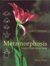 Metamorphosis: Evolution in Action