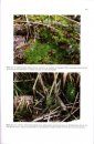 The Mosses and Liverworts of Pembrokeshire