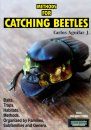 Methods for Catching Beetles