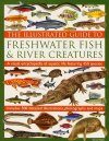 The Illustrated Guide to Freshwater Fish and River Creatures