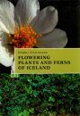 Flowering Plants and Ferns of Iceland