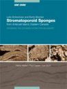 Late Ordovician and Early Silurian Stromatoporoid Sponges from Anticosti Island, Eastern Canada