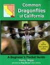 Common Dragonflies of California