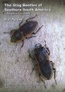 The Stag Beetles of Southern South America