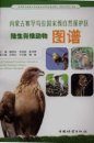 Atlas of Terrestrial Vertebrate Animals at Saihanwula National Nature Reserve of Inner Mongolia [Chinese]