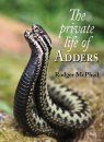 The Private Life of Adders