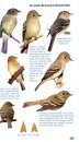 Kaufman Field Guide to Advanced Birding