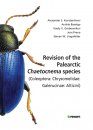 Revision of the Palearctic Chaetocnema Species