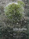 Boissiera, Volume 63: The Genus Grimmia Hedw. (Grimmiaceae, Bryophyta)