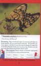 Mariposas del Uruguay, Argentina, Brasil y Paraguay [Butterflies of Uruguay, Argentina, Brazil,and Paraguay]