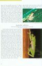 The Amphibians & Reptiles of the Golfo Dulce Region, Costa Rica