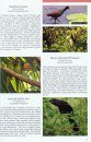 The Birds of the Golfo Dulce Region, Costa Rica