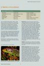 Reptile Habitat Management Handbook
